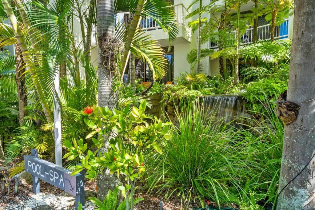 Coco Bella Dream In Surfers Paradise Χρυσή Ακτή Εξωτερικό φωτογραφία